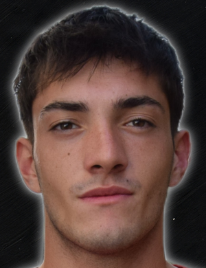 Francesco Dosio