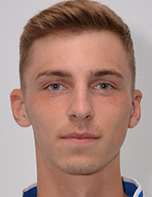 Alexandru Anton profil resmi