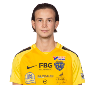 Robin Östlind photo