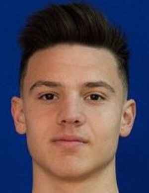 David Staiculescu profil resmi