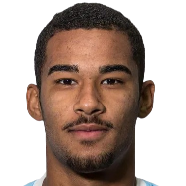 Victor Hugo Ramos de Souza