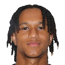 Fabio Domingos Monteiro