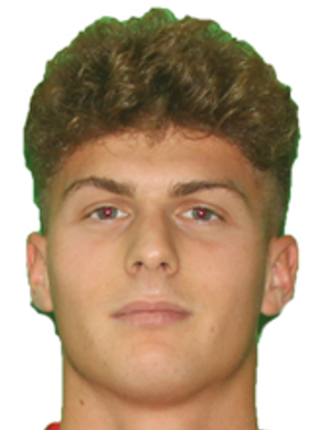 Andrea viviani