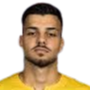 Matei marin
