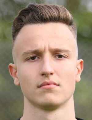 Emilijan Mirosavic profil resmi