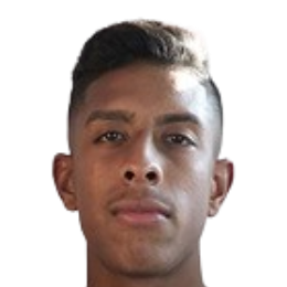 Adrian Enrique·Montanez Ibarguen