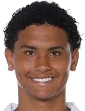 Angelo Henrique Candido De Siqueria