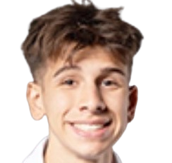aleksey ginko