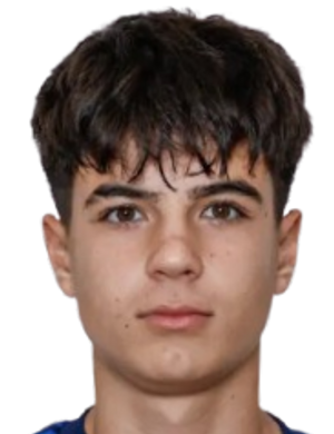 A. Neshev profil resmi