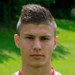 弗拉基米爾·蘭科維奇