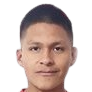 D. Saavedra