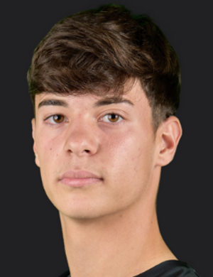Luisi Spinosa profil resmi
