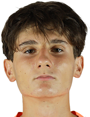 D. Hovhannisyan profil resmi