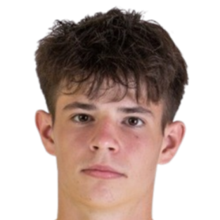 tobias paliscak
