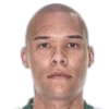 G. B. Pinheiro profil resmi