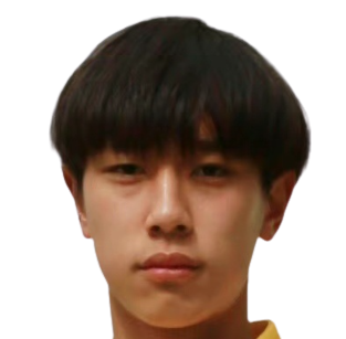 Xin Hongjun