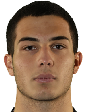 Amiran Tkeshelashvili