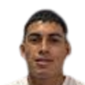 tomas gallay