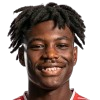 dircsi ngonzo