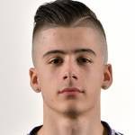 納爾遜·阿茲維多·賈納拉斯