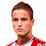 Ibrahim Afellay