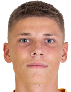M. Pavlik profil resmi