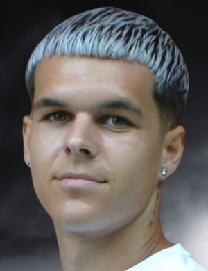 N. Selutin profil resmi