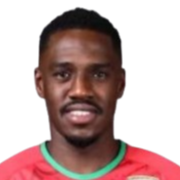 Thani Gharib Al Rushaidi