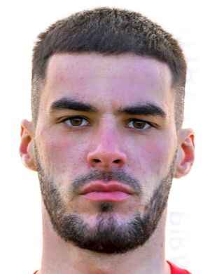 Petar roganovic