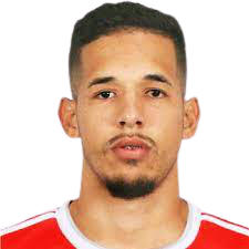 Pedro Henrique Alves Santana