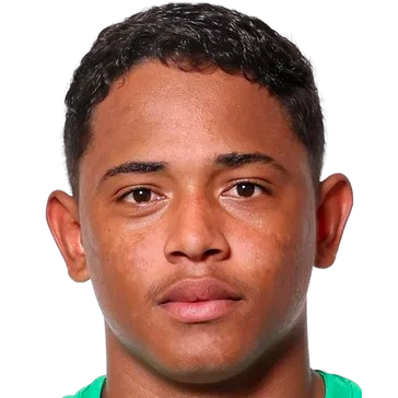 Pedro Antonio Pimentel Ferreira