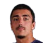 Vuk matejic