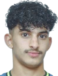 阿马尔·纳赛尔·哈菲