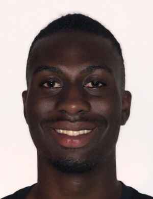 Martin Kwasi Gyameshie