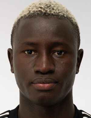 Mamadou Dianko profil resmi