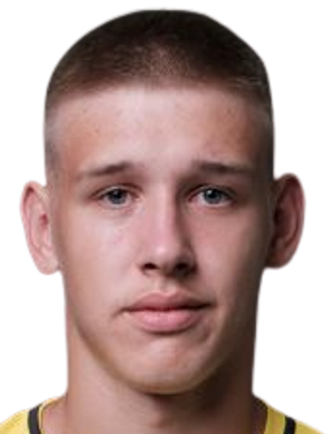 Denys Vlasenko profil resmi