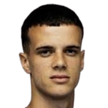 luka nikolic