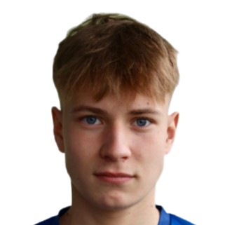 Rodion Romanov profil resmi