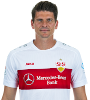 Mario Gomez photo