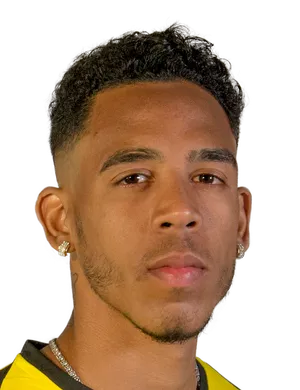 Pedro Vitor Ferreira da Silva
