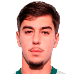 Matheus Dalsasso Dias