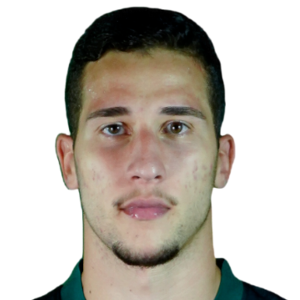 Jose Henrique Venancio Camargo