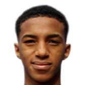 Holger Quintero logo
