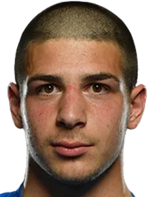 Davit Gogotishvili