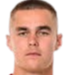Roman Holiš