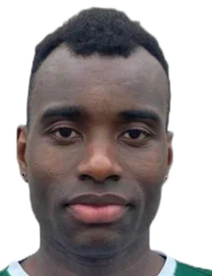 Hamed Camara