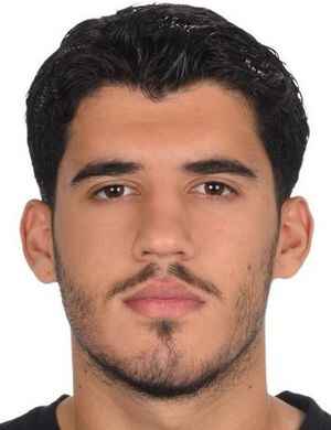D. Taş