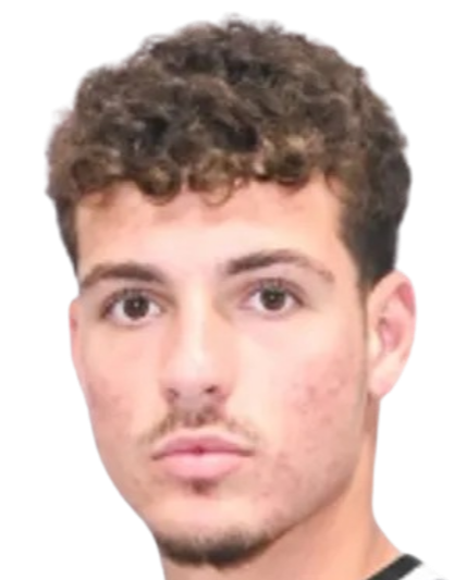 Thanasis Papanikolopoulos