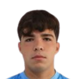 Pedro Henrique Fontoura Caldieraro