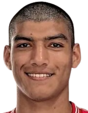 米薩埃爾·阿吉雷